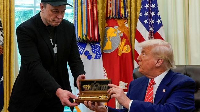 The popular duo is now beefing: The feud between Donald Trump and Elon Musk affects the crypto world 